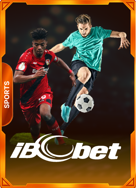 IBCbet sport